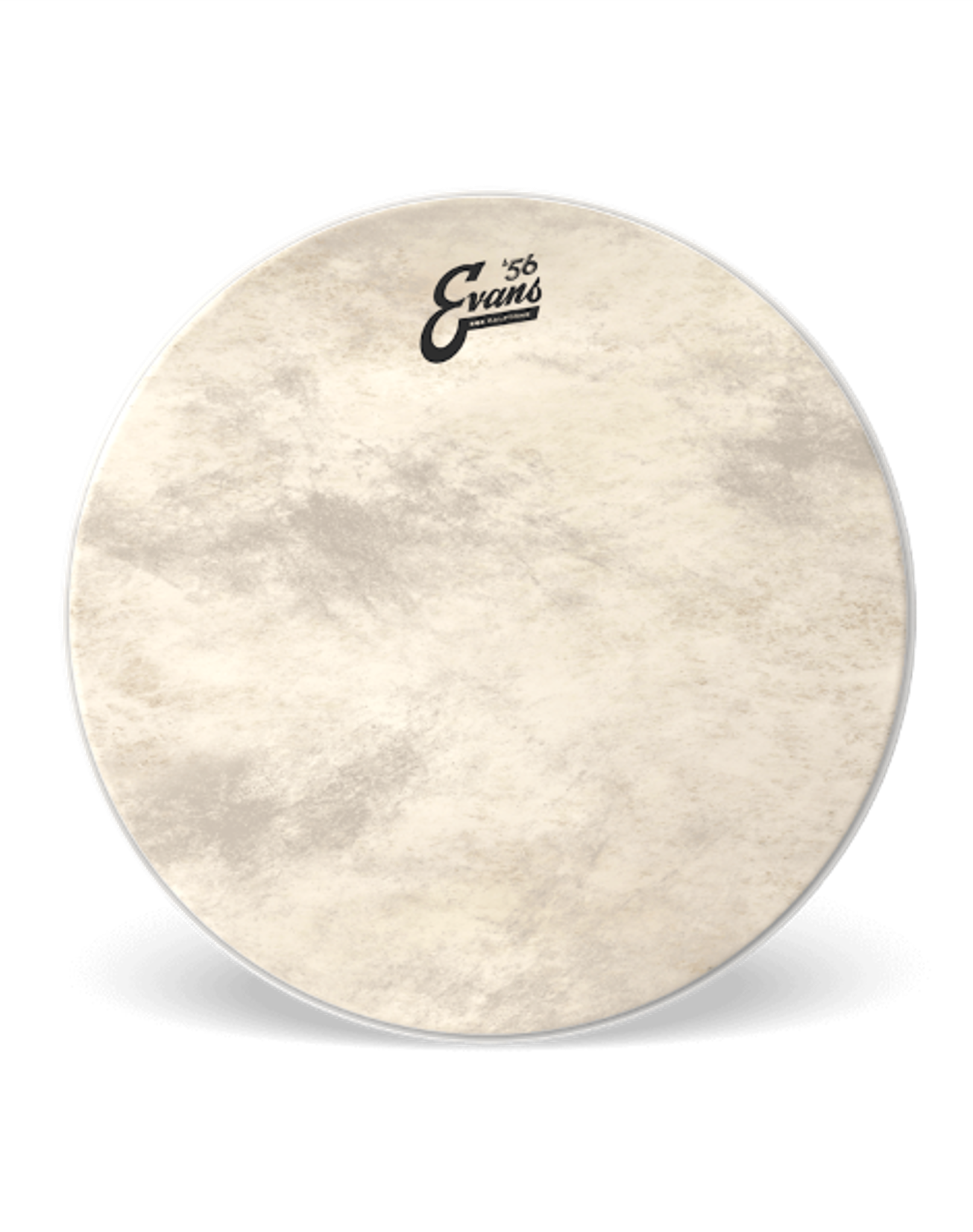 EVANS EQ4 Calftone 20" Bassdrum Head BD20GB4CT